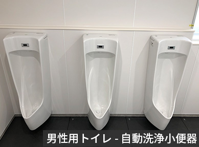 男性用トイレ　自動洗浄小便器の写真